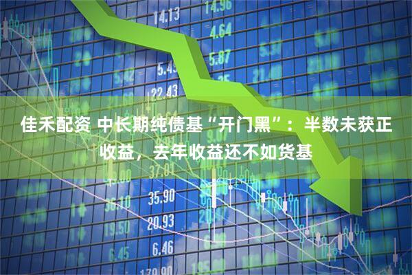 佳禾配资 中长期纯债基“开门黑”：半数未获正收益，去年收益还不如货基