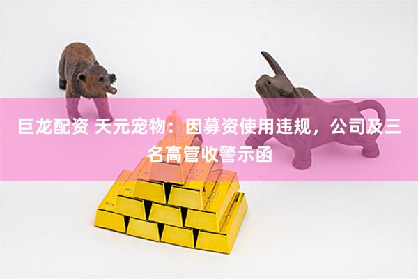 巨龙配资 天元宠物：因募资使用违规，公司及三名高管收警示函