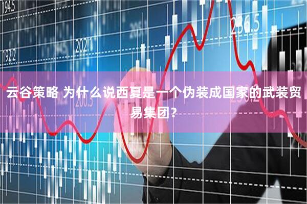 云谷策略 为什么说西夏是一个伪装成国家的武装贸易集团?