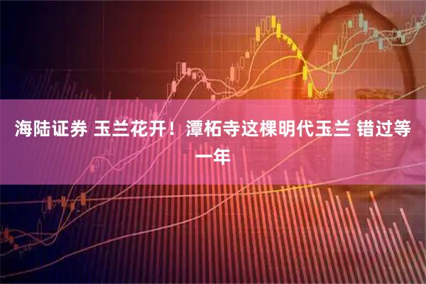 海陆证券 玉兰花开！潭柘寺这棵明代玉兰 错过等一年