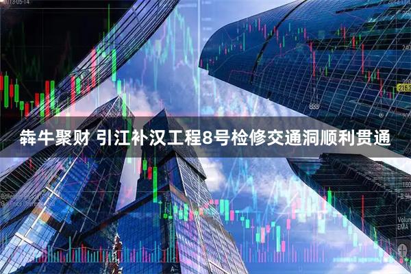 犇牛聚财 引江补汉工程8号检修交通洞顺利贯通