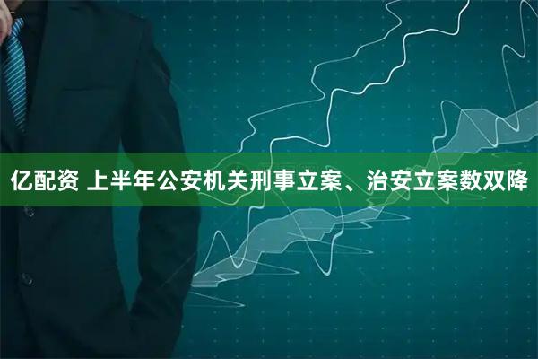 亿配资 上半年公安机关刑事立案、治安立案数双降