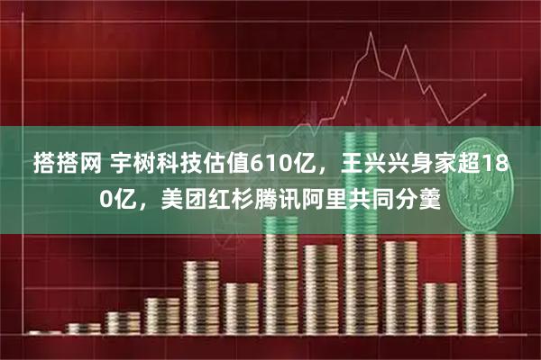 搭搭网 宇树科技估值610亿，王兴兴身家超180亿，美团红杉腾讯阿里共同分羹
